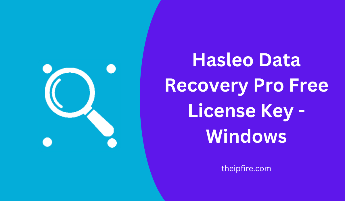 Hasleo Data Recovery Pro Free License Key